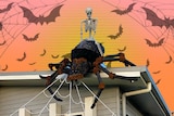 A giant spider, a Halloweed decoration, is seen on the roof of the house. The image background has bats and cobwebs.