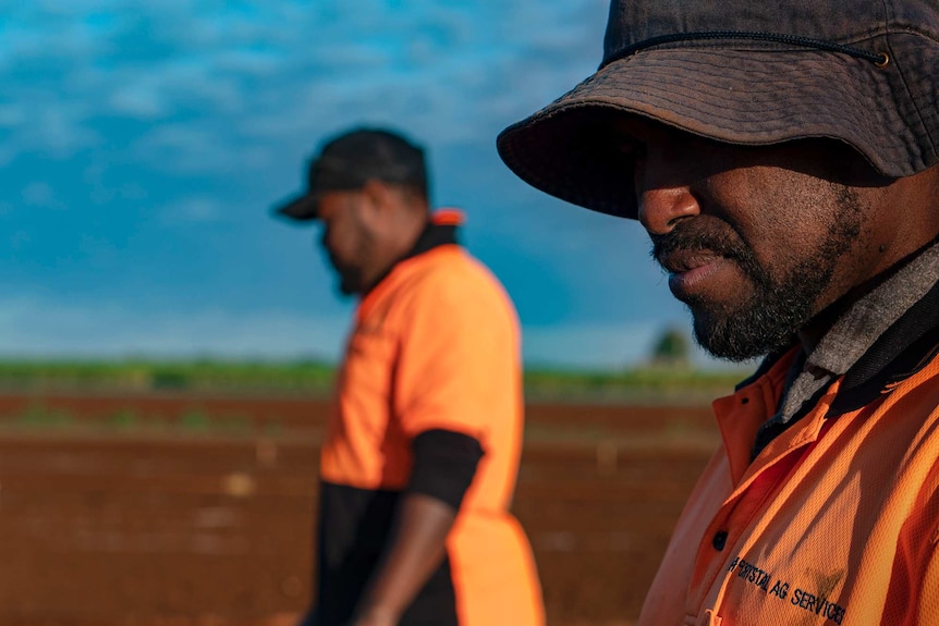 Two men walk through a field of farming land.