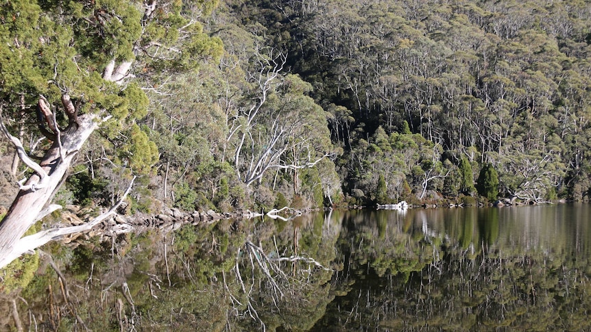 The Tasmanian Government wants to open up national parks to more tourism development.