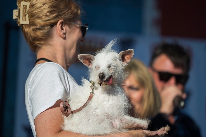 A lady holding a white dog.