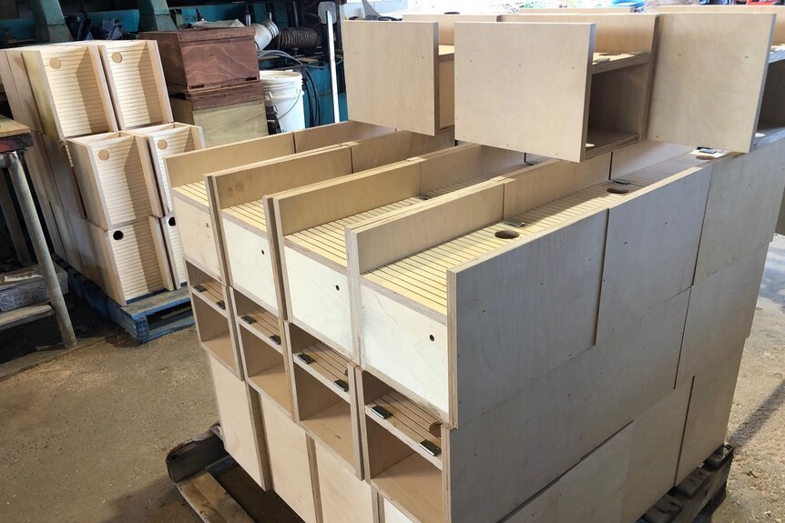 Stacks of partly made up Wildbnb boxes in the workshop where they are made.