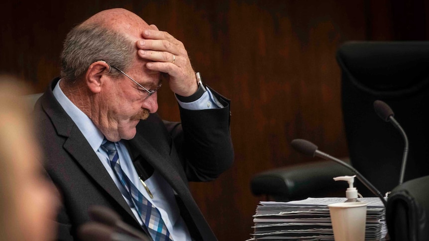 Tasmanian Government minister Mark Shelton puts his hand on his forehead in Parliament