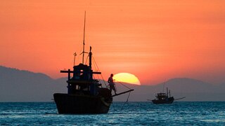 Vietnamese fisherman arrested in South China Sea