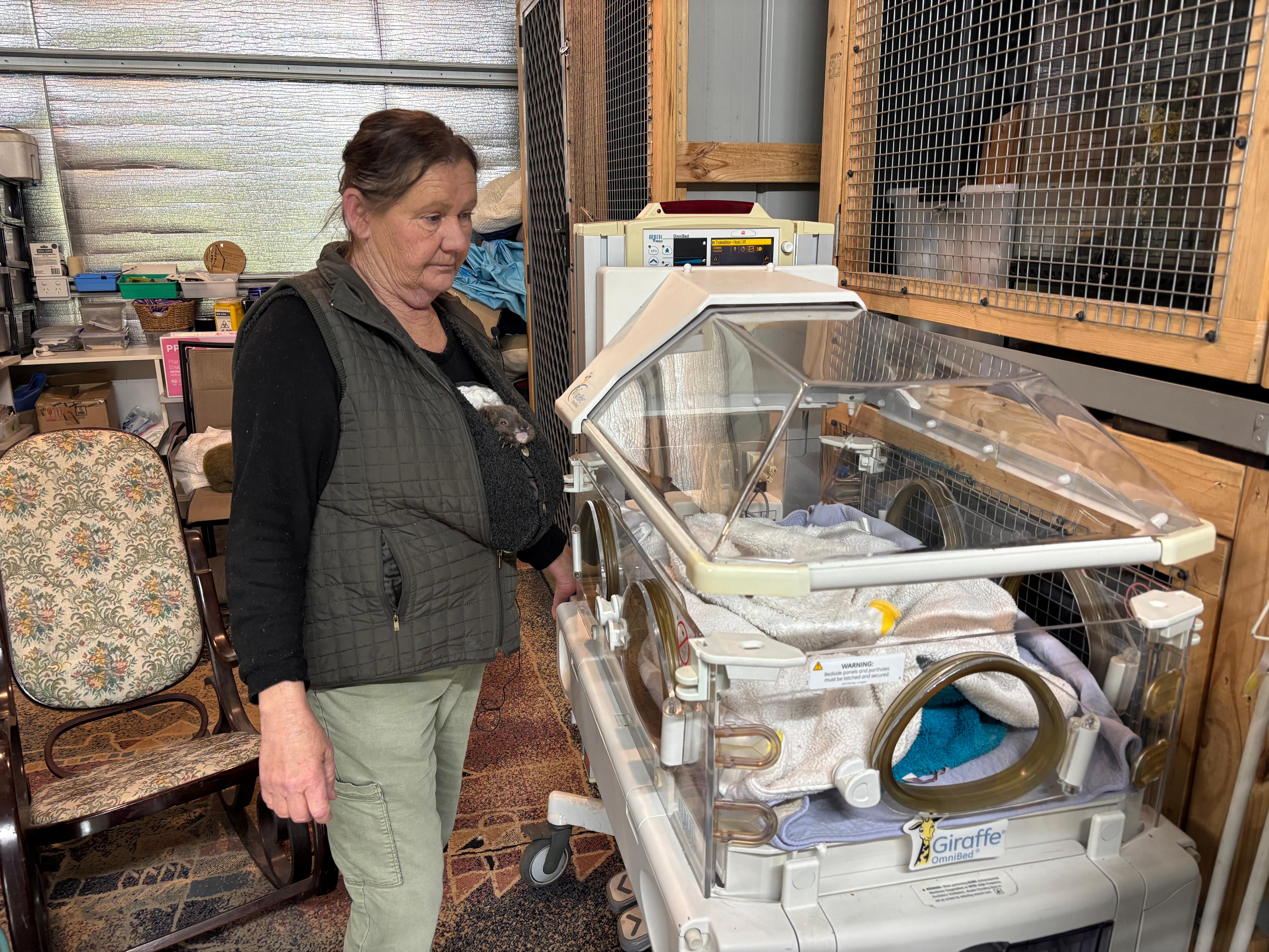 Uma mulher de cabelos castanhos, vestida com calça verde e colete, opera um berço umidificador. 