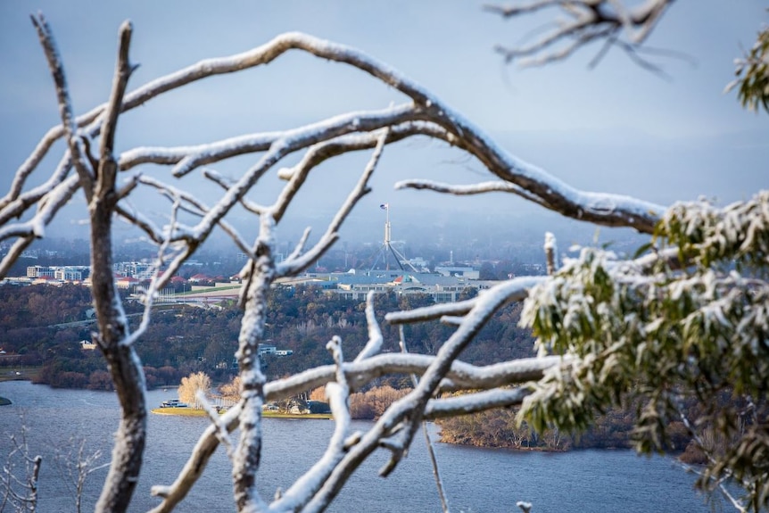 Parliament House can be seen through snowy branches in Canberra.