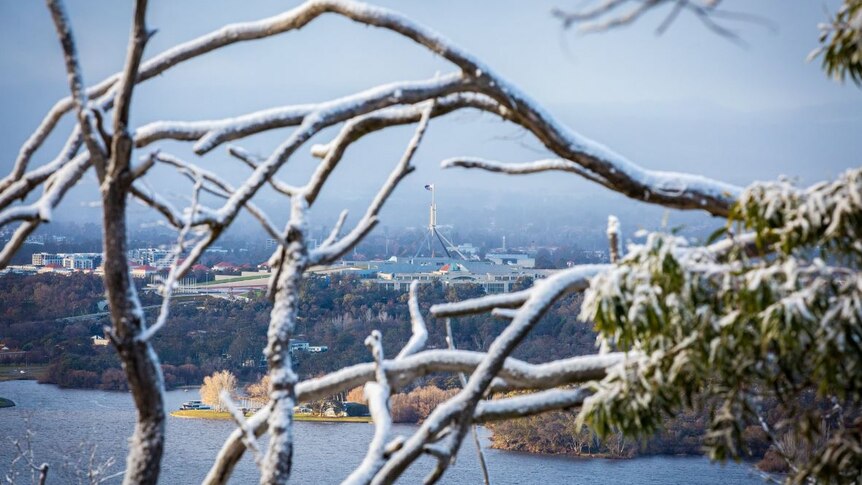 Parliament House can be seen through snowy branches in Canberra.