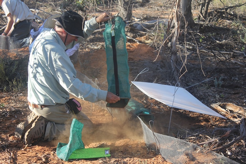 Citizen scientists