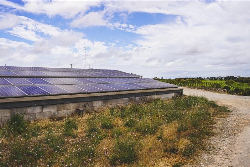 A low brick building with dozens of solar panels next to grass, a gravel road, and lines of crops in the background.