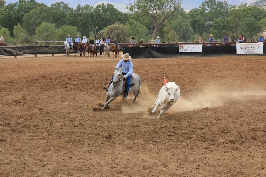 Mac Shann at campdraft