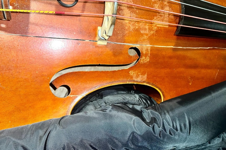 A double bass with a crack in the body 