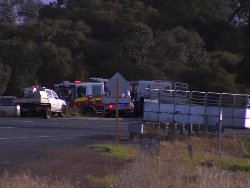 A fire engine blocking the road and a cattle truck overturned onto the road.