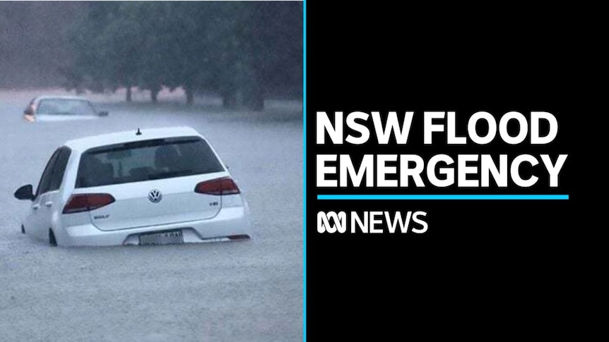 Sydney floods: Where are the NSW flood warnings? What has the Bureau of Meteorology forecast?