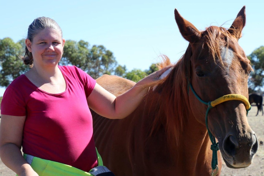 A woman in a pink t-shirt brushes a horse.