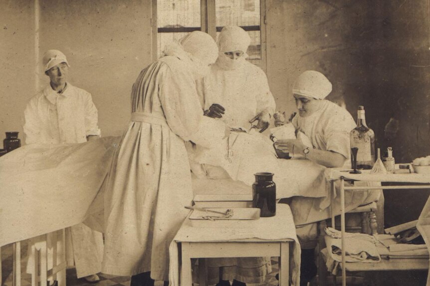 Bluebirds in operating theatre in France, 1918