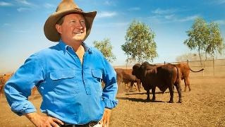 Andrew Forrest with cattle on Minderoo station, WA