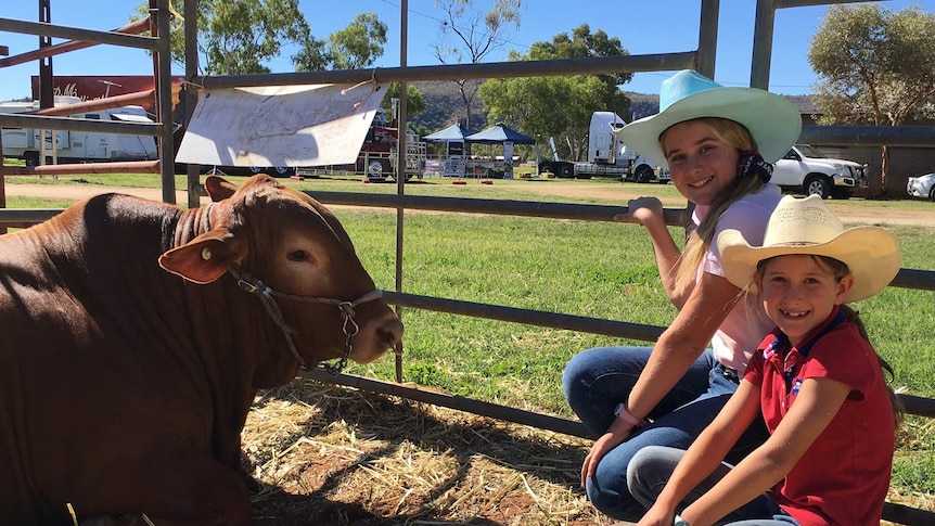 Grace and Leisl Bekker kneel beside one of their Droughtmaster bulls at Alice Springs show.