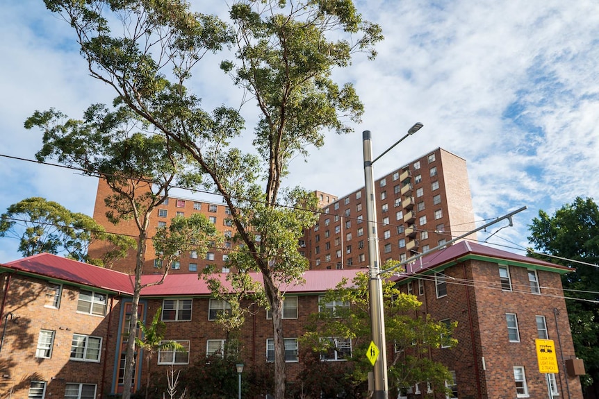 A photo of several brick apartment blocks, with a gum tree out the front. These are public housing commission.