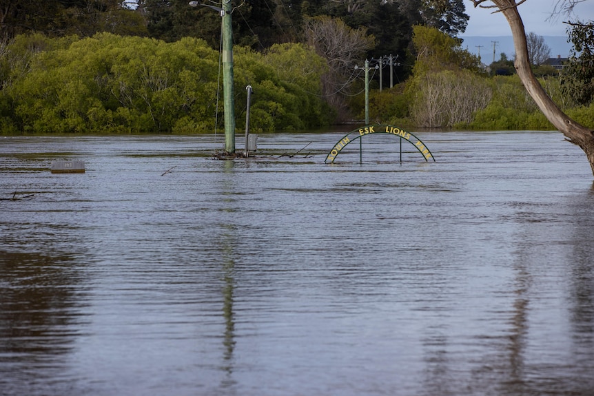 Floodwater submerges a sign at a park