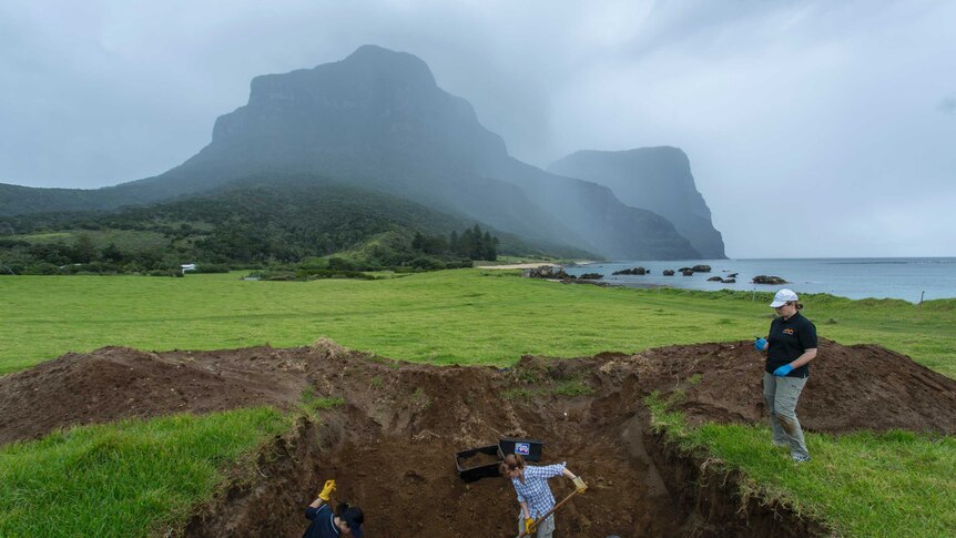 Three Dense-beaked whales were buried on this Lord Howe Island farm in 2006.