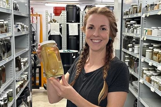 Person holds jar with shark egg in it surrounded by shelves displaying shark egg jars 