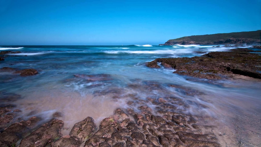 Munmorah State Conservation Area