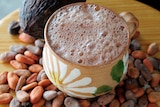 Hot chocolate with cacao beans and pod