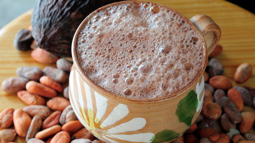 Hot chocolate with cacao beans and pod