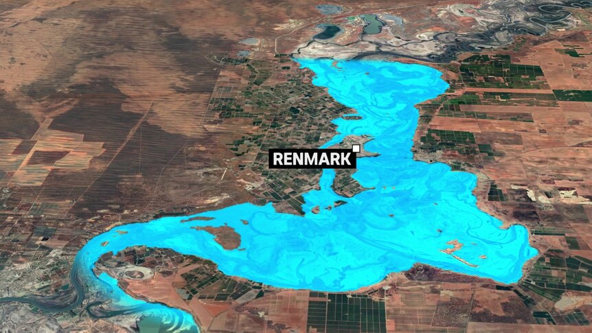 A map of predicted flooding in the Renmark area of the Riverland