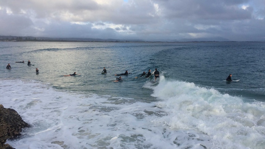 Surfers jostle for position at The Pass in Byron Bay.