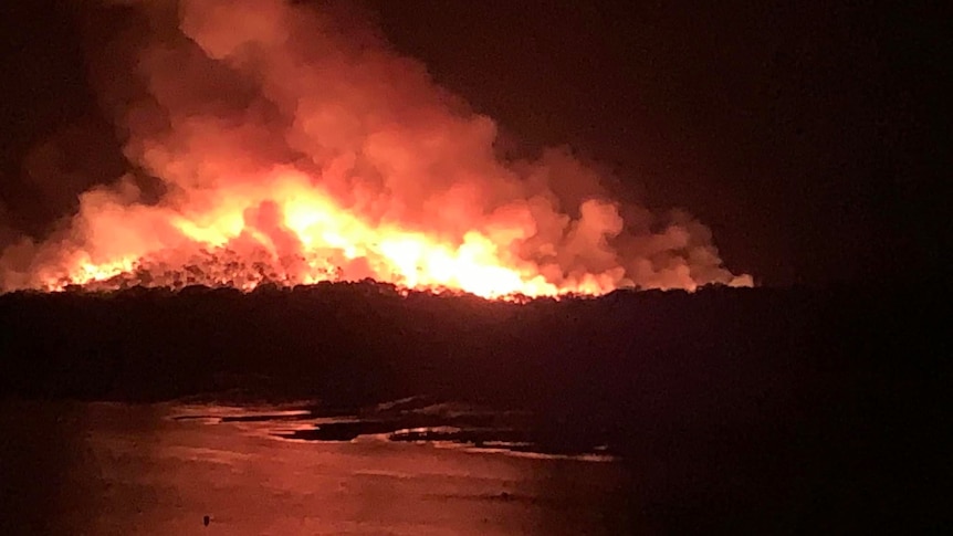 Shot of a large vegetation fire with beach in the foreground.