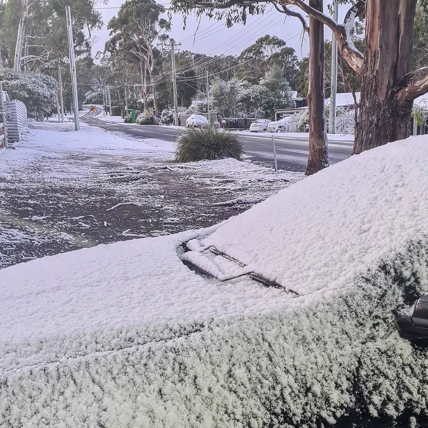 Snow falls 'nearly to sea level' at Hobart as Tasmania braces for