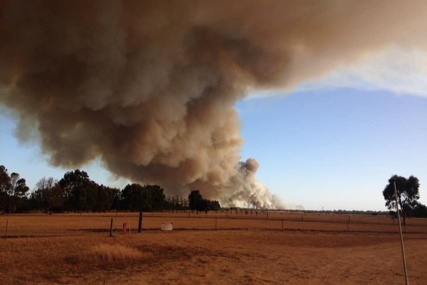 A large plume of brown-black smoke billows in the distance over a field.