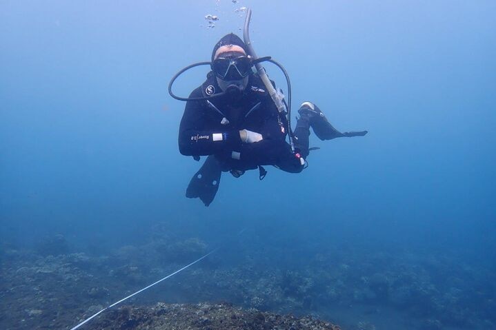 A man underwater in a westsuit wearing scuba diving gear.