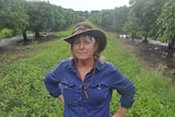 Kris Bailey stands at her mango orchard.
