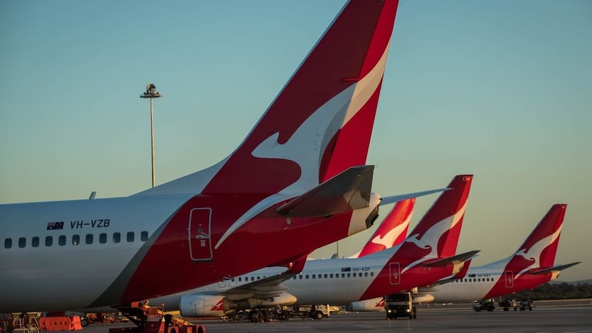 Mises à jour en direct : le conseil d’administration de Qantas sous pression suite aux allégations de bonus de Joyce et de vols fantômes, les actions technologiques en hausse avant la sortie de l’iPhone 15, ASX en hausse