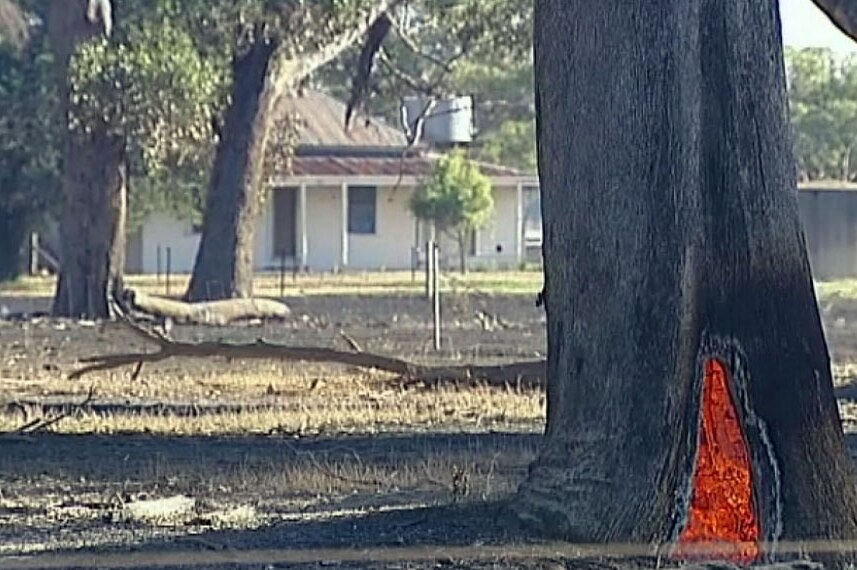 Fire burning in a tree trunk at Boweya, Victoria on December 16, 2014