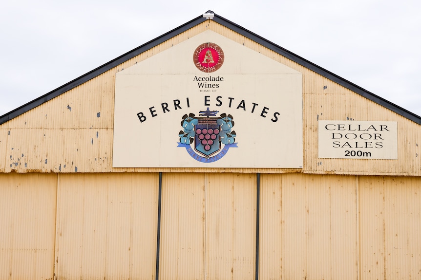 An old Berri Estate's shed in South Australia's Riverland region, November 2023.