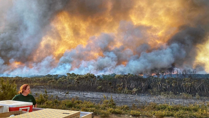 A woman stands in front of a massive bushfire in front of a big plume of smoke.