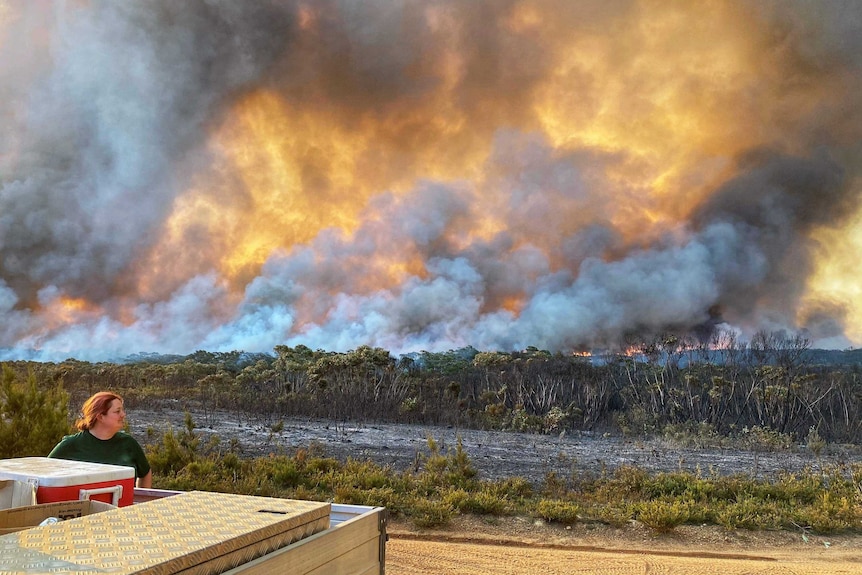 A woman stands in front of a massive bushfire in front of a big plume of smoke.
