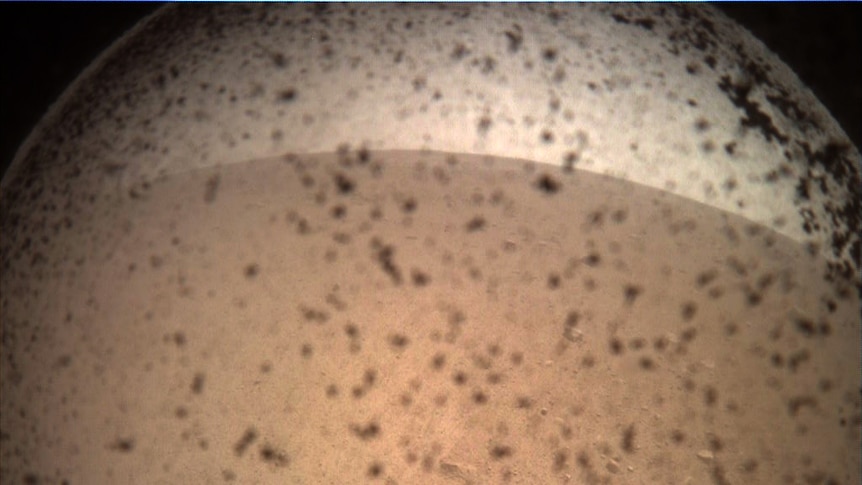 A photograph of the surface of Mars taken by the probe InSight.