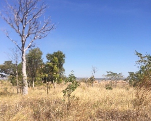 Home owners worry about proposed 40m telco tower going up next door