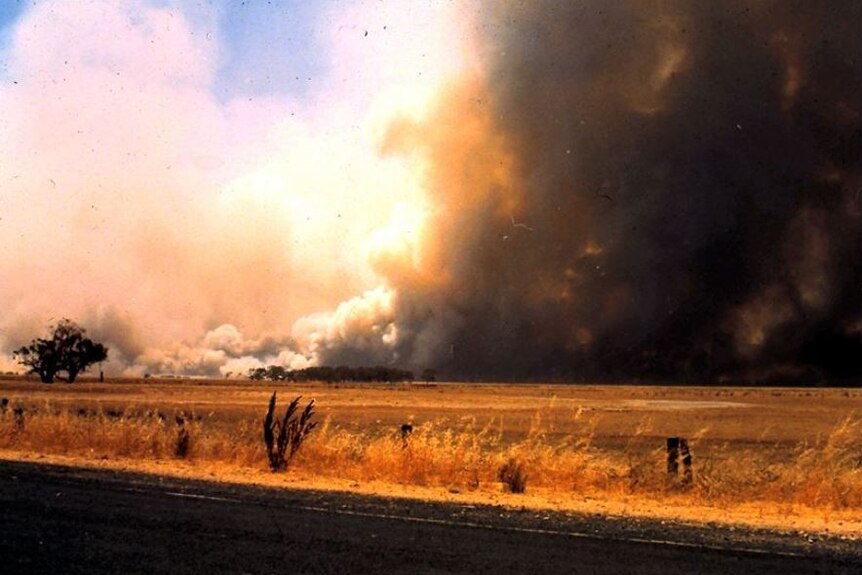 The 1983 Ash Wednesday fires in South Australia's south-east.