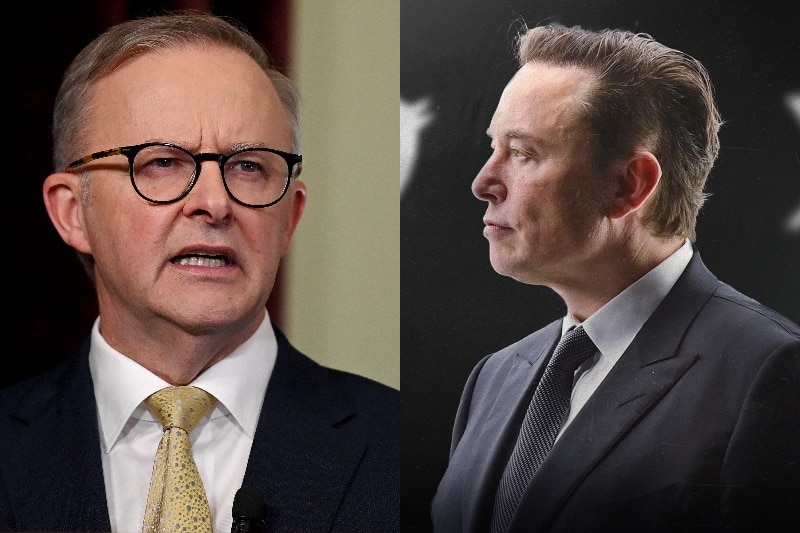 albo-and-musk