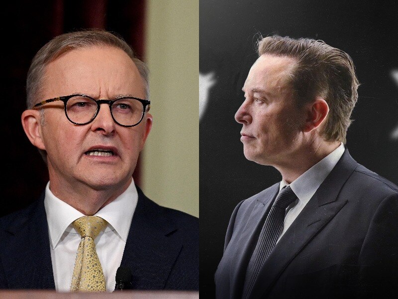 albo-and-musk