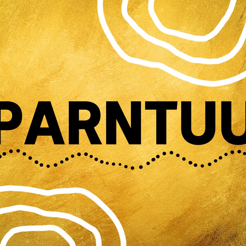 Image of black block text PARNTUU against a= yellow/brown textured background