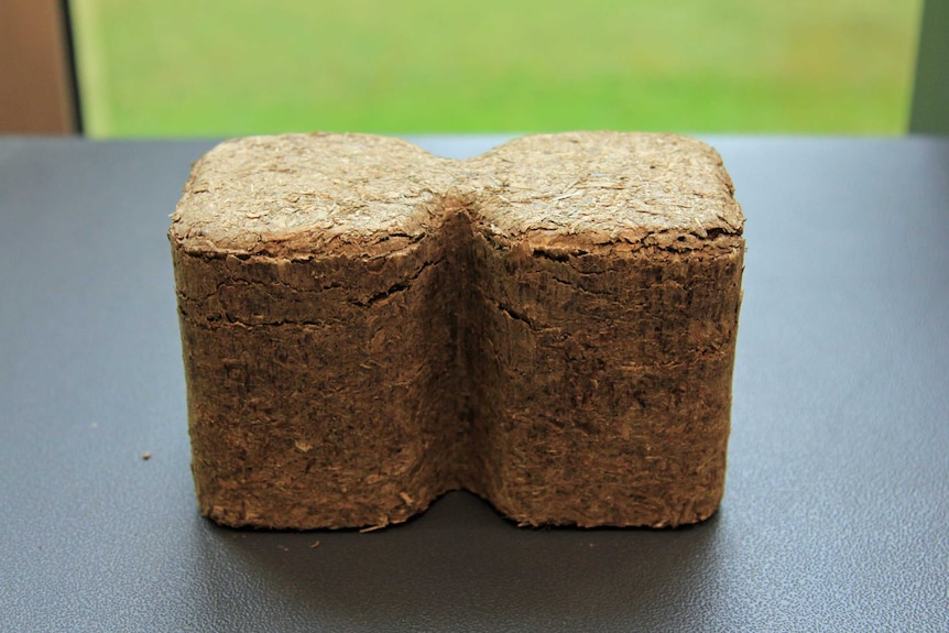 Fuel brick made from gorse