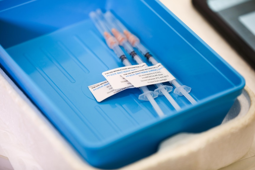 Three syringes with orange tips in a blue tray.