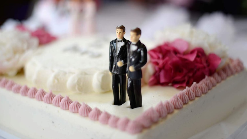 Tony Abbott says same-sex couples who married in the ACT knew there was a possibility their marriages would be annulled.