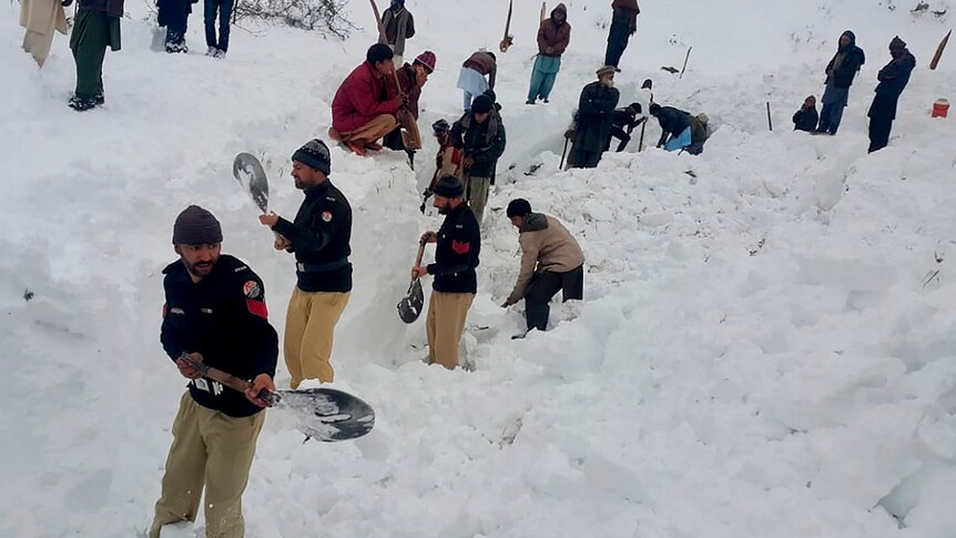 People with shovels dig in snow to find victims of avalanche.