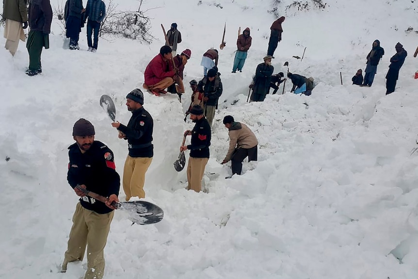 People with shovels dig in snow to find victims of avalanche.